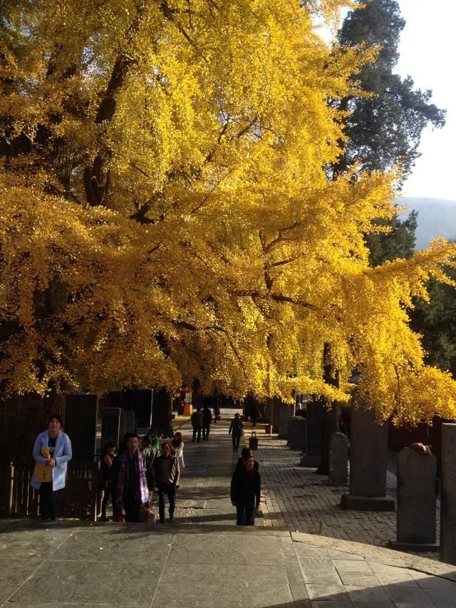 立冬！嵩陽煤機(jī)溫馨提示“該添衣啦”！
