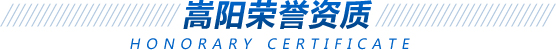 嵩陽榮譽(yù)資質(zhì)